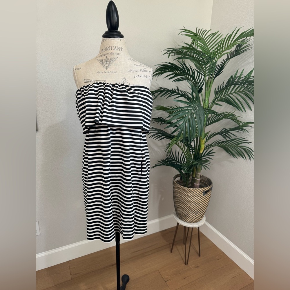 Zara Trafaluc Black & White Mini